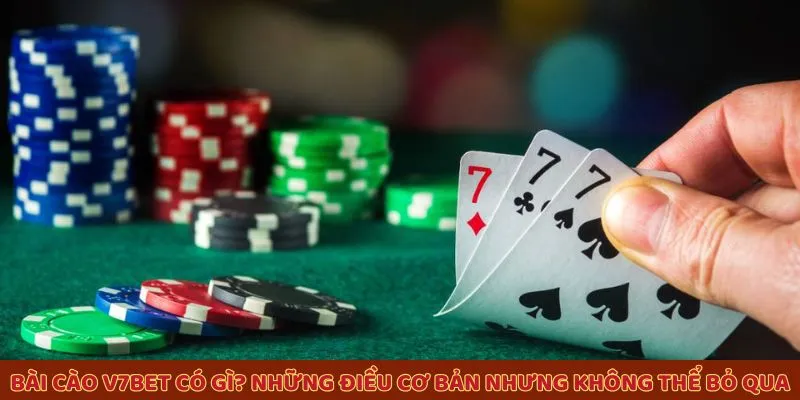 Bài cào V7BET có gì? Những điều cơ bản không thể bỏ qua Bài cào V7BET có gì? Những điều cơ bản không thể bỏ qua