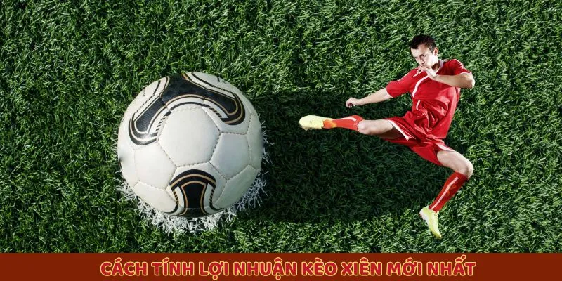 Cách tính lợi nhuận kèo xiên mới nhất Cách tính lợi nhuận kèo xiên mới nhất