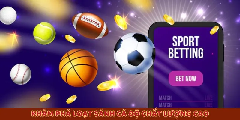 Khám phá loạt sảnh cá độ chất lượng cao Khám phá loạt sảnh cá độ chất lượng cao